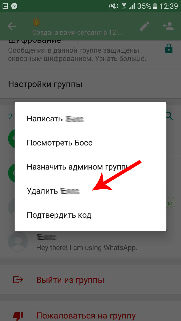 Все способы незаметно покинуть группу whatsapp | итигик