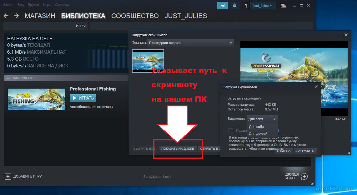 Как опубликовать скриншот в steam и настроить его