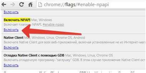 Как включить поддержку npapi в google chrome вручную?