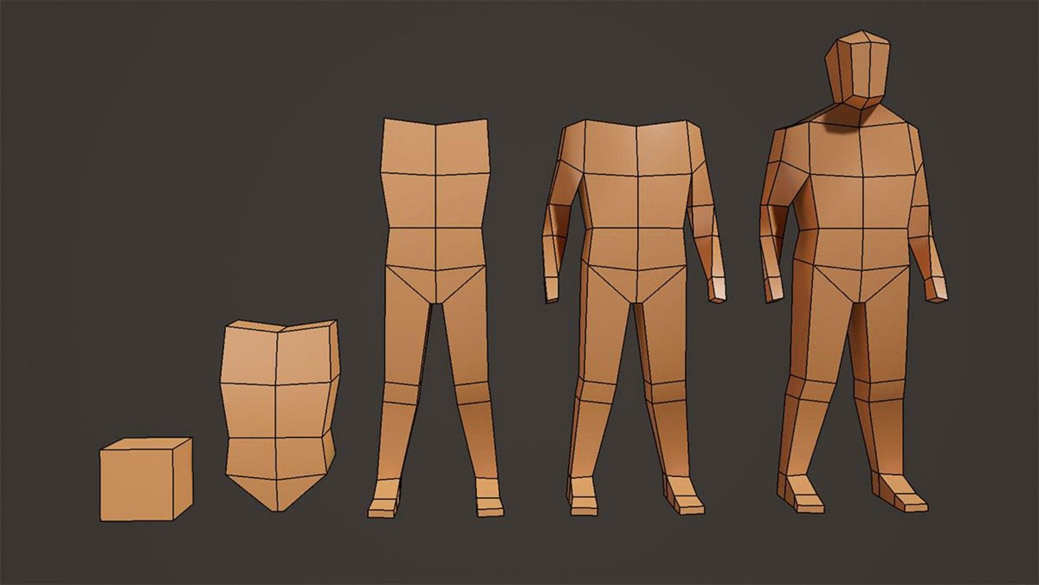 Interactive guide to the skeletal system | innerbody