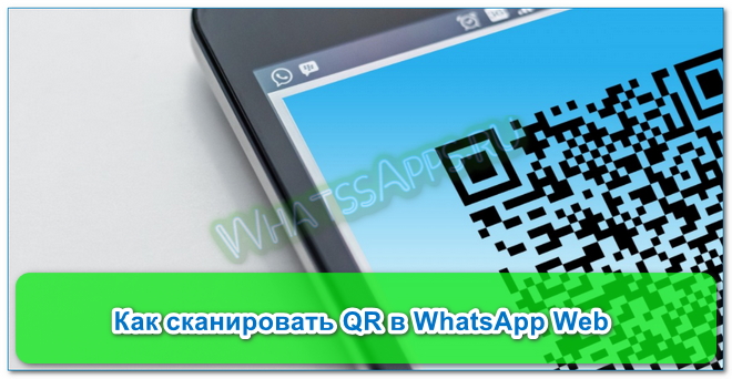 Веб ватсап ком — сканировать код для входа в whatsapp