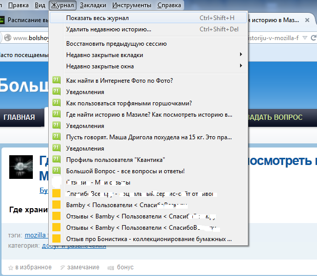 Mozilla где хранится история загрузок за год. история посещений в firefox: как посмотреть? как очистить