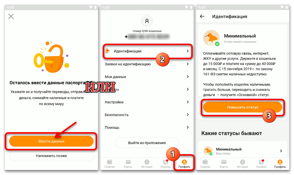 Практически необходимую для получения доступа ко всем возможностям QIWI Кошелька идентификацию несложно пройти онлайн с компьютера или мобильного девайса