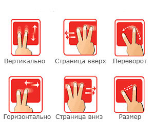 Как отключить тачпад на ноутбуке: отключение touchpad на asus, hp, lenovo, dell, acer