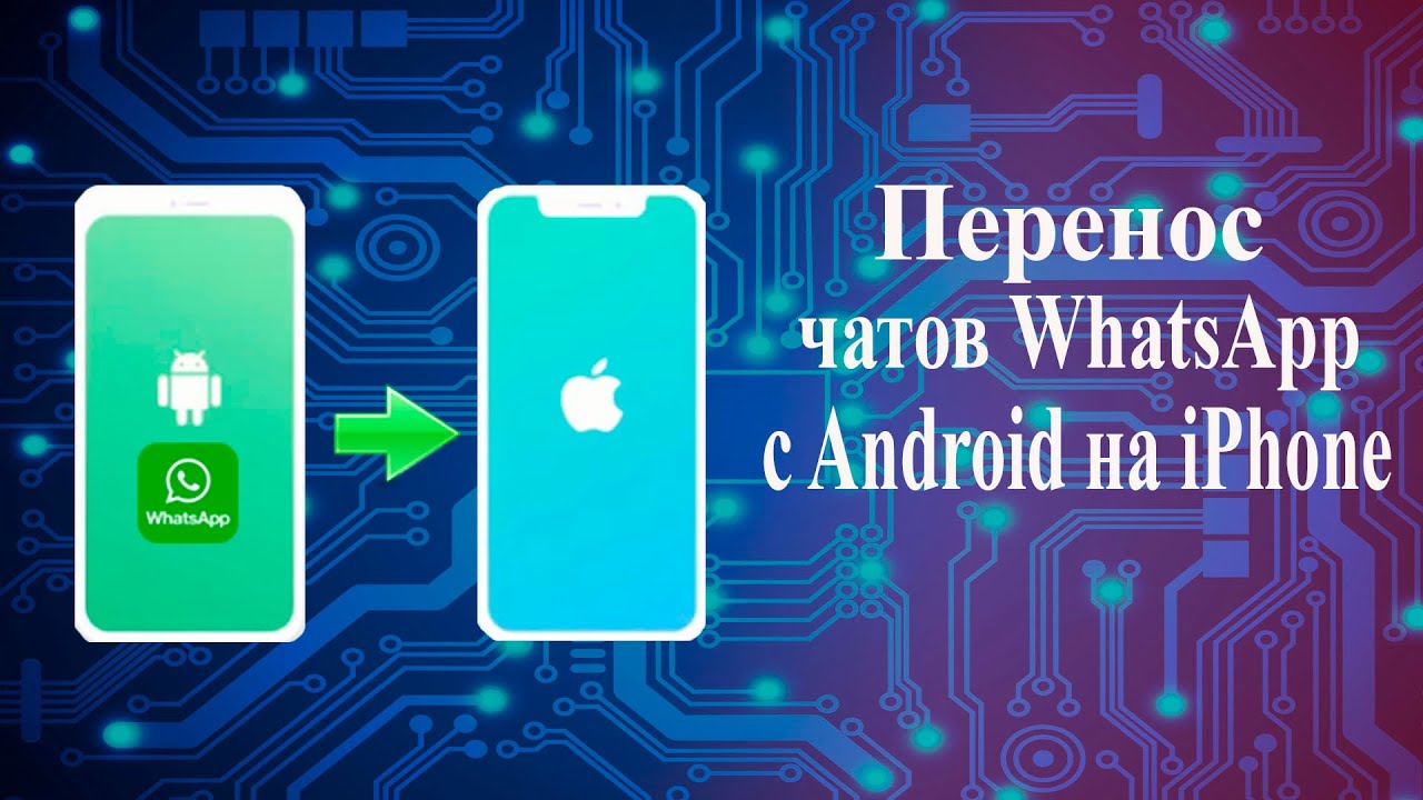 Резервное копирование в whatsapp — как сделать резервную копию