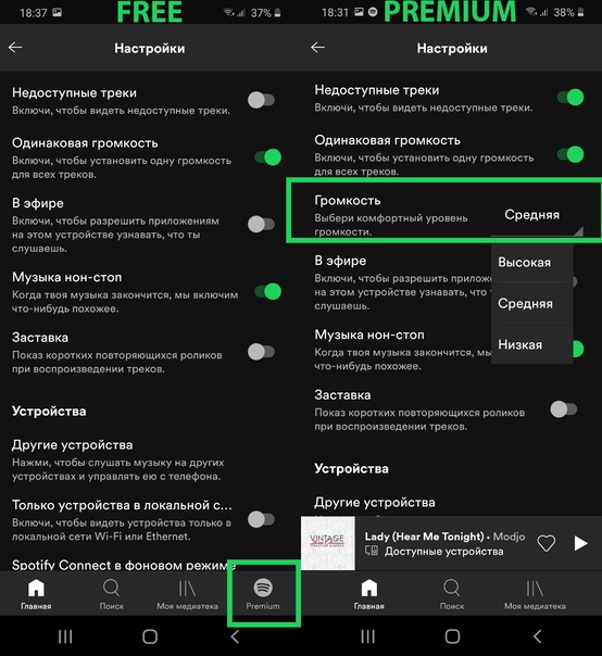 Как включить текст в spotify на пк и мобильных устройствах