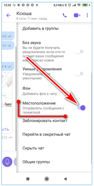 Что такое местоположение (геолокация) в вайбере, как его посмотреть и отключить
