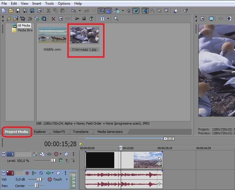 Как сделать стоп кадр в sony vegas pro 19