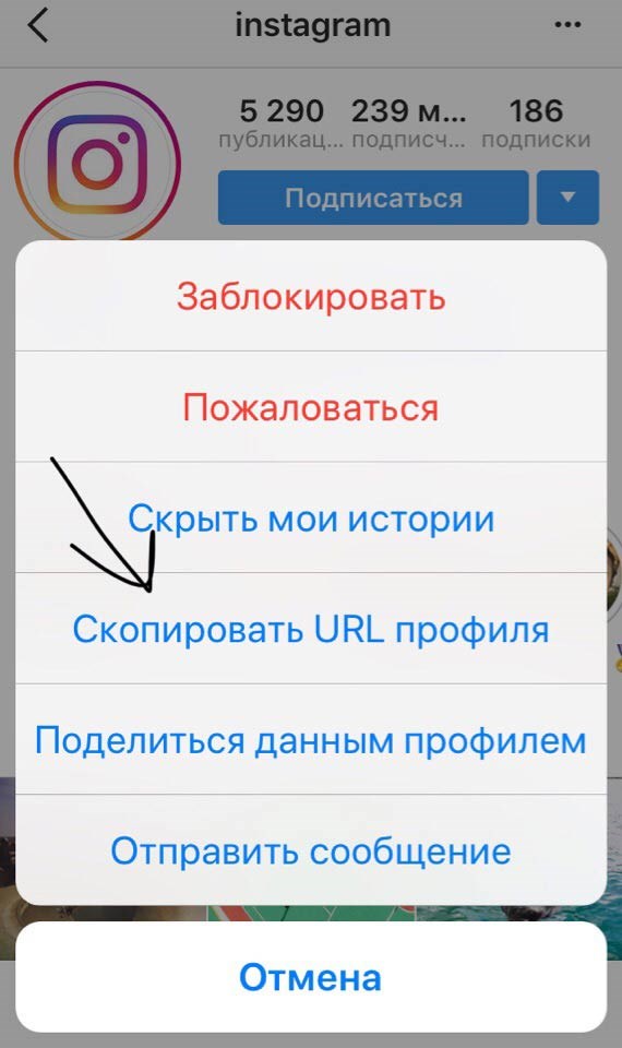 Instagram - инструмент для общения и обмена ссылками Иногда не совсем ясно, как можно скопировать ссылку, но на деле это можно сделать различными способами