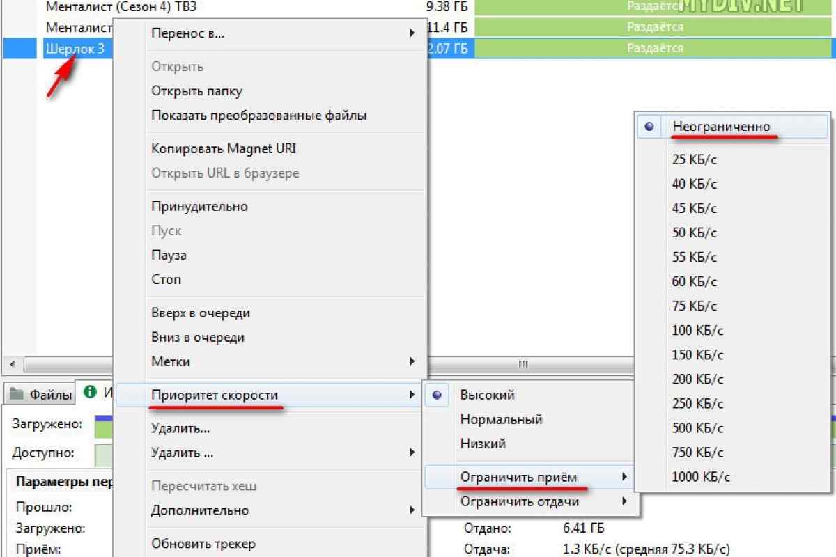 Как настроить торрент