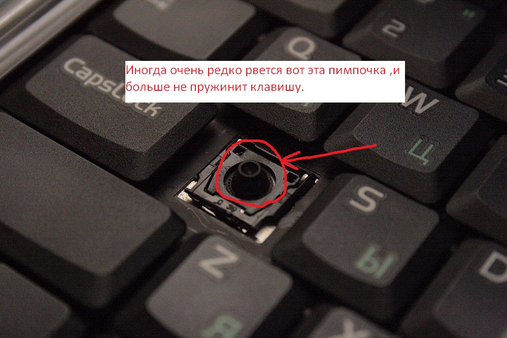 [решено:] не работает клавиатура на компьютере или ноутбуке что делать?