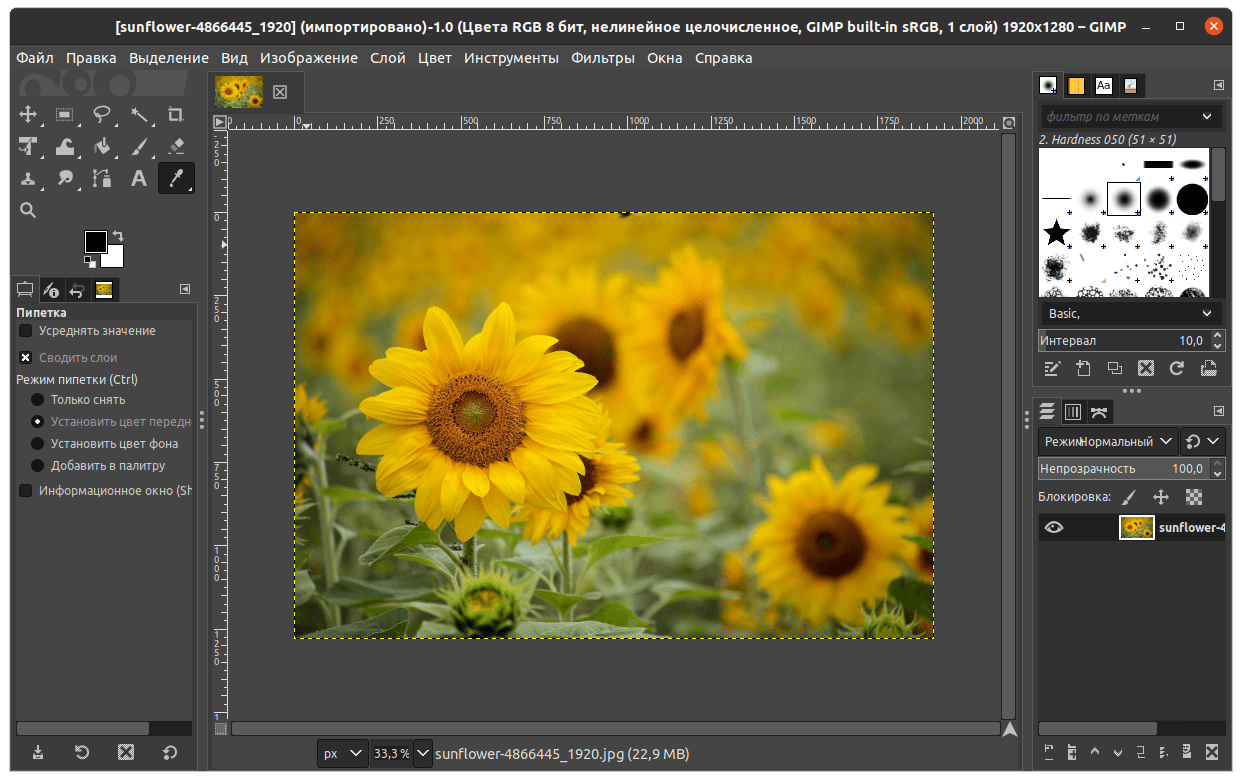 Учебный курс «начала работы с графическим редактором gimp»