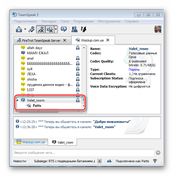 Как настроить комнаты в teamspeak 3 - skazhirasskazhi.ru