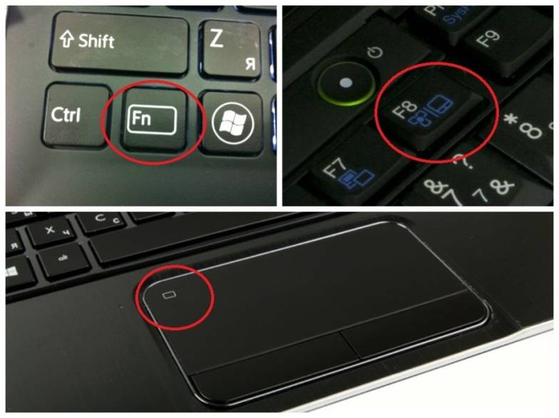Ноутбук не видит мышь usb: что делать windows 10, причины проблем и 7 шагов решения