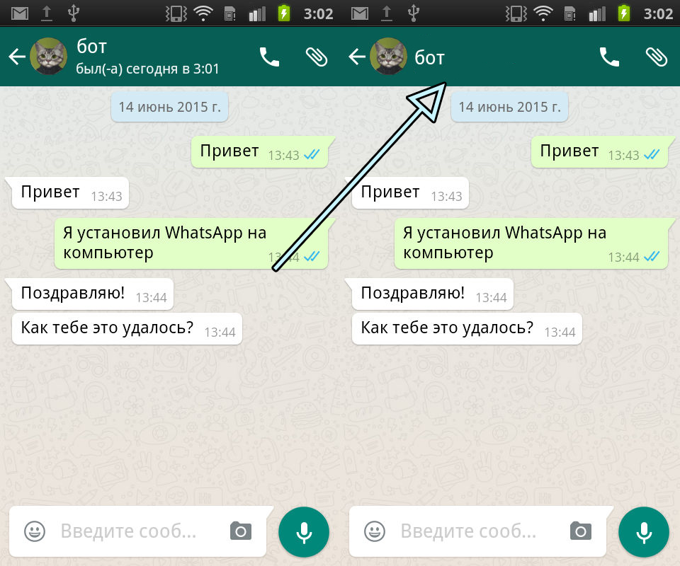 Как узнать, что пользователя заблокировали в ватсапе? — whatsapp-russia.ru