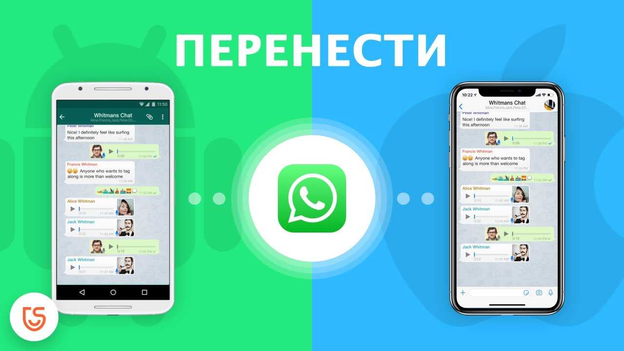 Расположение резервных копий мессенджера WhatsApp напрямую зависит от того, на какой операционной системе работает смартфон - iOS или Android