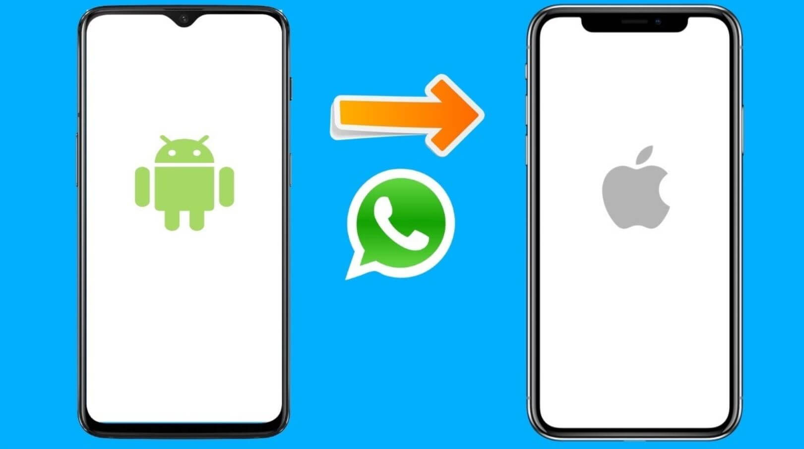 Резервная копия whatsapp (ватсап): где хранится – на андроиде, ios или компьютере