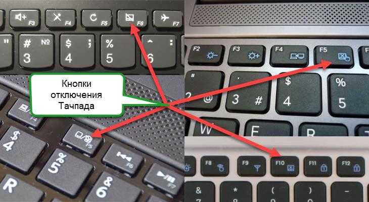 Как отключить тачпад на ноутбуке: отключение touchpad на asus, hp, lenovo, dell, acer