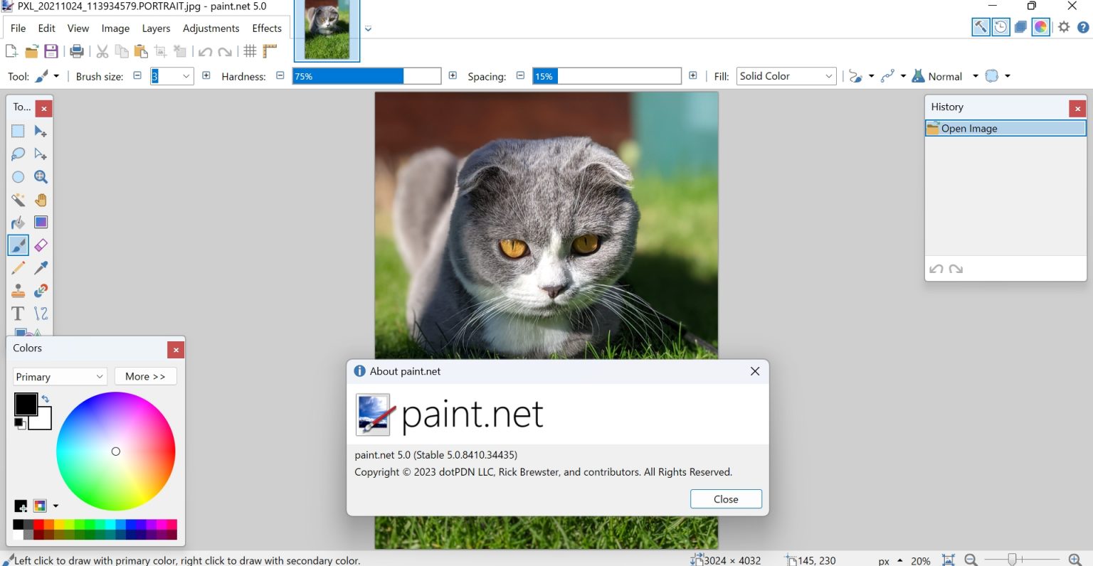 Работа со слоями в paint.net - фотошоп. уроки, тренинг - страна мам