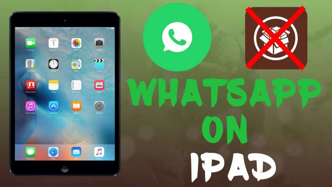 Способы установки whatsapp на ipad