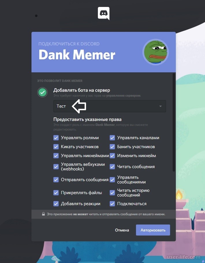 Лучшие боты для discord и для чего они нужны | windows noticias